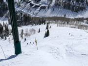 Cliffs at Lady Morgan Express