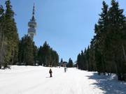 Snezhanka peak and television tower