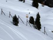 Forest conservation areas must not be entered.