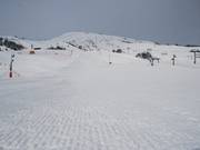 Practice slopes can be found in the immediate vicinity of the stations, as here in Le Corbier.