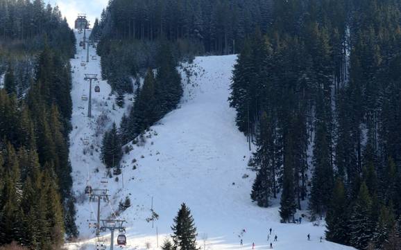 Ski resorts for advanced skiers and freeriding Ostallgäu – Advanced skiers, freeriders Nesselwang – Alpspitze (Alpspitzbahn)