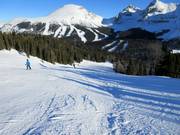 Wide slope No. 59 Wawa Bowl with a view of Goat's Eye Mountain