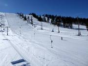 View of the slopes on the north side