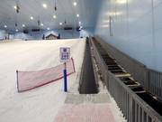 Ski Egypt 4 - People mover/Moving Carpet