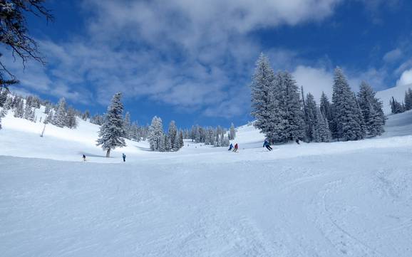 Slope offering Teton Range – Slope offering Grand Targhee