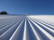 Perfect grooves in the snow