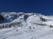 Off-piste area at Thaneller