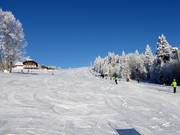Easy slopes at the Almwiesenlift