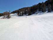 Beginner area at the Härderaliften on the Hannigalp