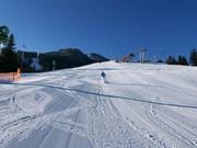 Main and floodlit slope