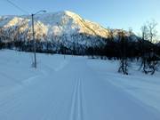 Freshly groomed cross-country trail at dusk