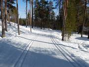 Cross-country ski trails in Pyhä