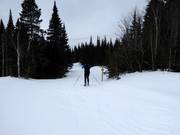 Cross-country trail in the ski resort of Le Massif de Charlevoix