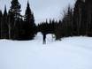 Cross-country skiing Eastern Canada – Cross-country skiing Le Massif de Charlevoix