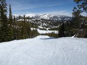 Bobby's Runout downhill