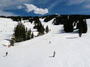 Slopes in Mid Vail