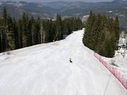 Very good slope grooming in Mechi Chal