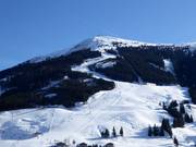 View of the West Run