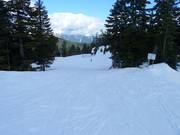 Easy slope Panorama at Black Mountain