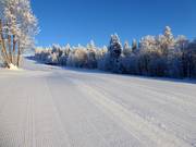 Very well-groomed slopes in Mitterdorf
