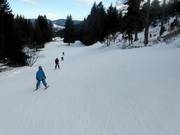 Easy Donauwellenabfahrt