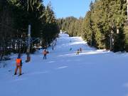 Easy slope at the Lubák platter lift