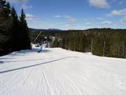 Easy slope Târnbakken