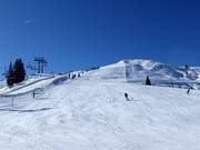 Hahnkopf downhill run