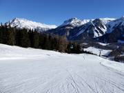 Valley run Haideralm