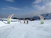 Tip for children  - Kids Fun Trail