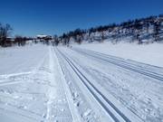 Cross-country trails in Geilo