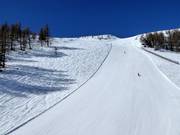 Steep summit slope (difficult)