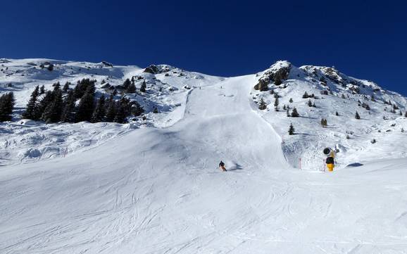 Ski resorts for advanced skiers and freeriding Churwaldnertal (Churwalden Valley) – Advanced skiers, freeriders Arosa Lenzerheide