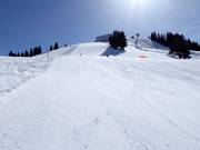Sporty sunny slopes at the upper Chuenisbärgli
