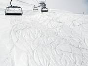 The open meadow slopes offer plenty of space for powder turns after fresh snowfall.
