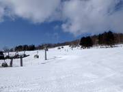 End of the Eva and Bambi slopes