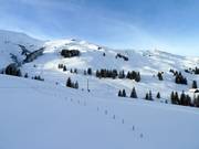 Powder slopes between Lavey and Sillerenbühl