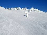 Crystal Run through the Crystal Bowl