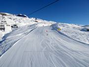 Slope No. 10 Aletsch