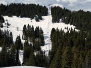 TK des Bosses - J-bar