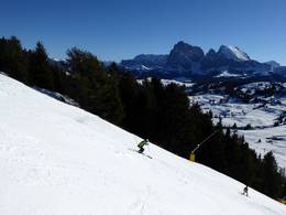 Alpe di Siusi (Seiser Alm)
