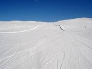 Familiebakken downhill run