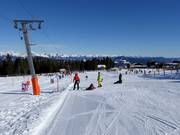 Easy slope at the Kreischi drag lift