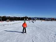Easy slope at the practice lift (rope lift)