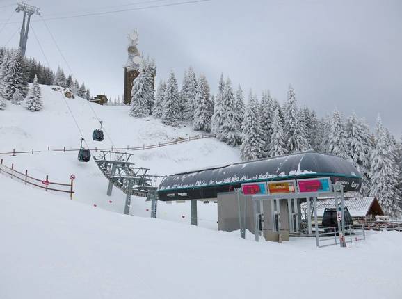 Telegondola Carp - © Thomas Fincham - Photo: Thomas Fincham