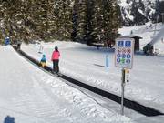 Conveyor belt Thaneller