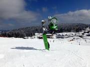 Snow cannon at Seebuck