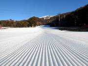 Very good slope grooming in the Thredbo ski area