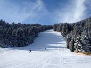 Slope Europacup-Hang