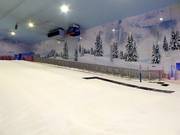 Ideal practice slope for families with children